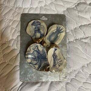New Oyster Shell Magnets